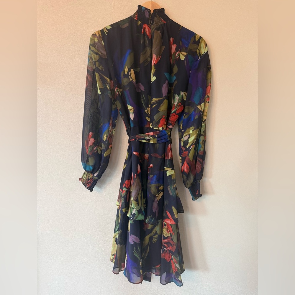 Alex Marie Floral Tiered Dress Sheer Sleeve Belted Lined Size 4 - Picture 4 of 10